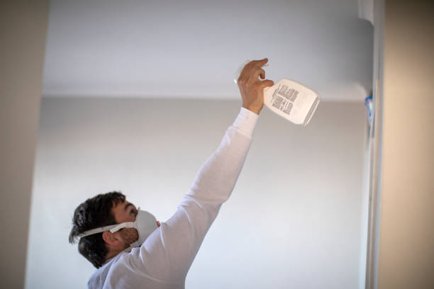 Best Professional Mold Removal  in Malmstrom Af, MT
