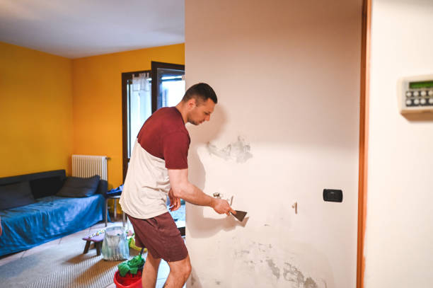 Best Mold Removal and Inspection  in Malmstrom Af, MT